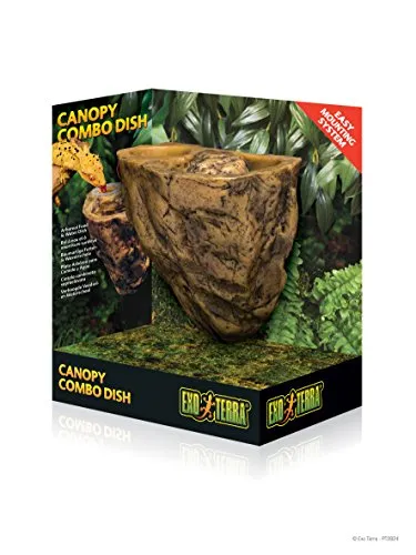 Canopy Combo Dish