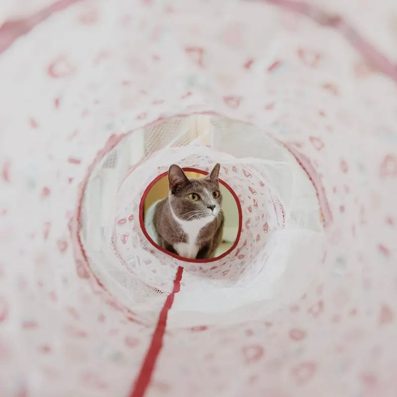 SmartyKat Collapsible Cat Tunnel