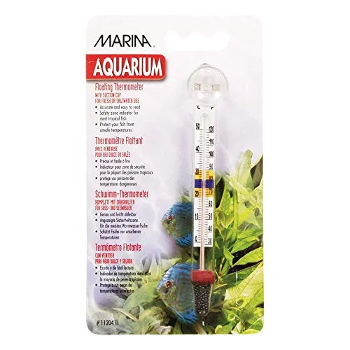 Deluxe Floating Thermometer with Suction Cup