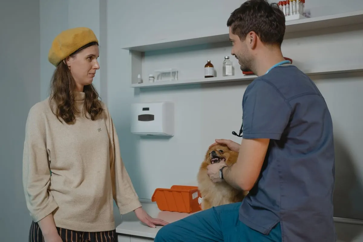 A vet examining a small fluffy dog on an exam table while its owner looks on