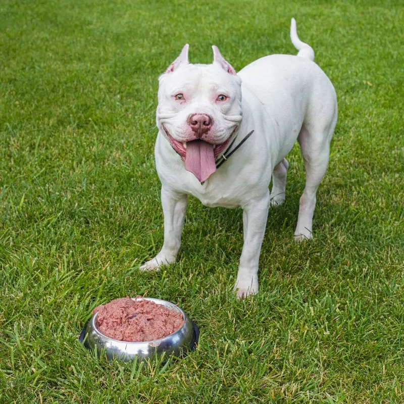 Lily's Kitchen Lily's Kitchen Adult Dog Food