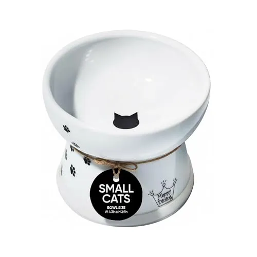 Raised Cat Food Bowl