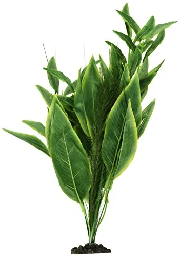 Silk Plant