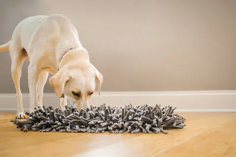 Wooly Snuffle Mat