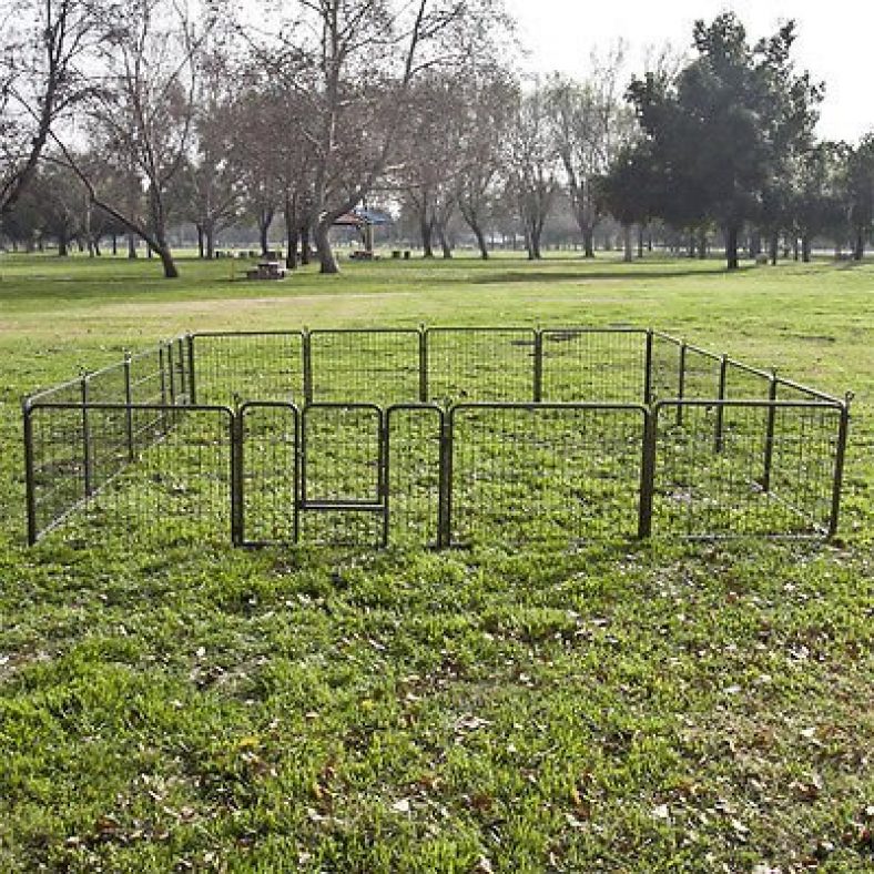 dog fence barrier