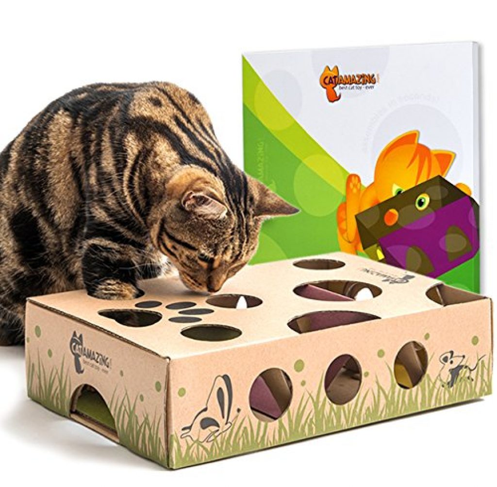 best puzzle feeder for cats