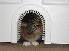 Cat Door - Cathole Interior Pet Door With Cleaning Brush New