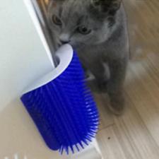 Pet Cat Self Massage Brush Wall Corner Grooming Brushes Comb Plastic Tools Blue