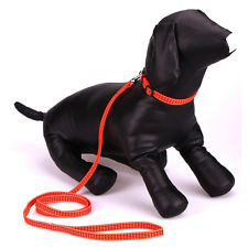 Pet Dog Cat Orange Nylon Leash Rope Reflective Adjustable Neck Collar Set & Bell
