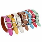 Pet Genuine Real Soft Leather Collar Dog Cat Puppy Neck Buckle 7 Colors 3 Sizes