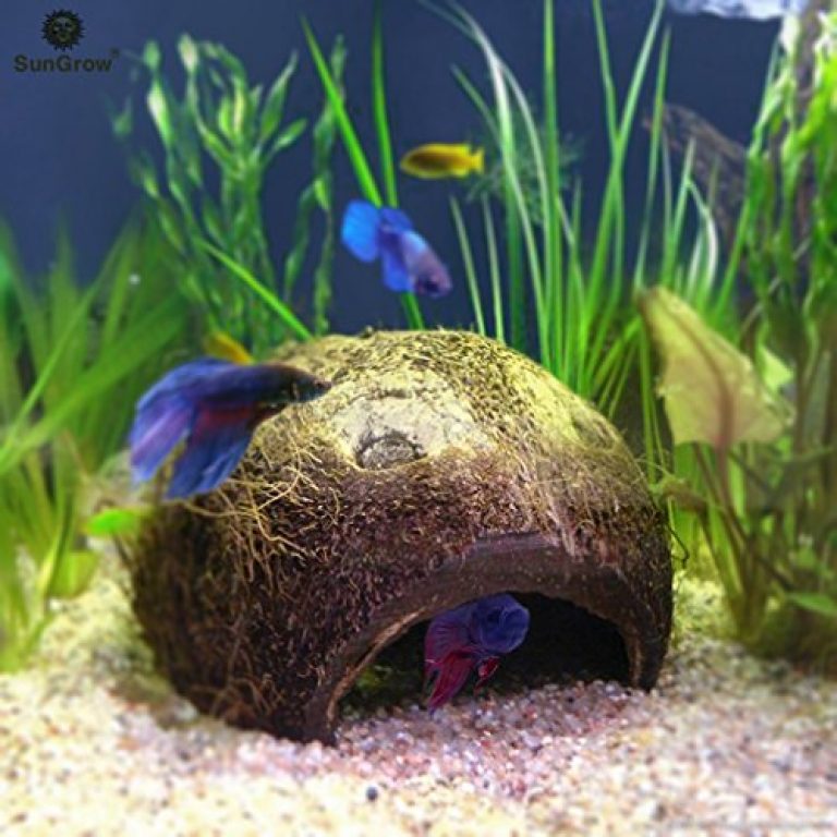 SunGrow Betta cave Natural habitat made from coconut shells Softtextured smooth edges