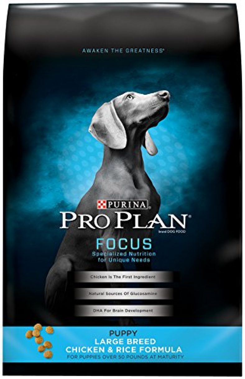 Purina Pro Plan FOCUS Puppy Large Breed Chicken & Rice Formula Dry Dog ...
