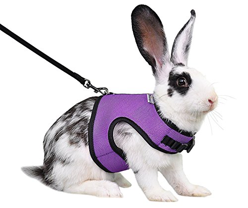 Niteangel Adjustable Soft Harness with Elastic Leash for Rabbits (M ...