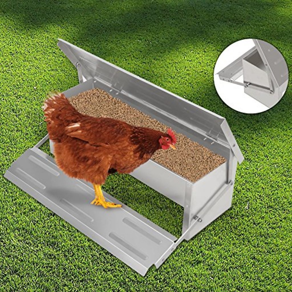 automatic chicken feeder with timer