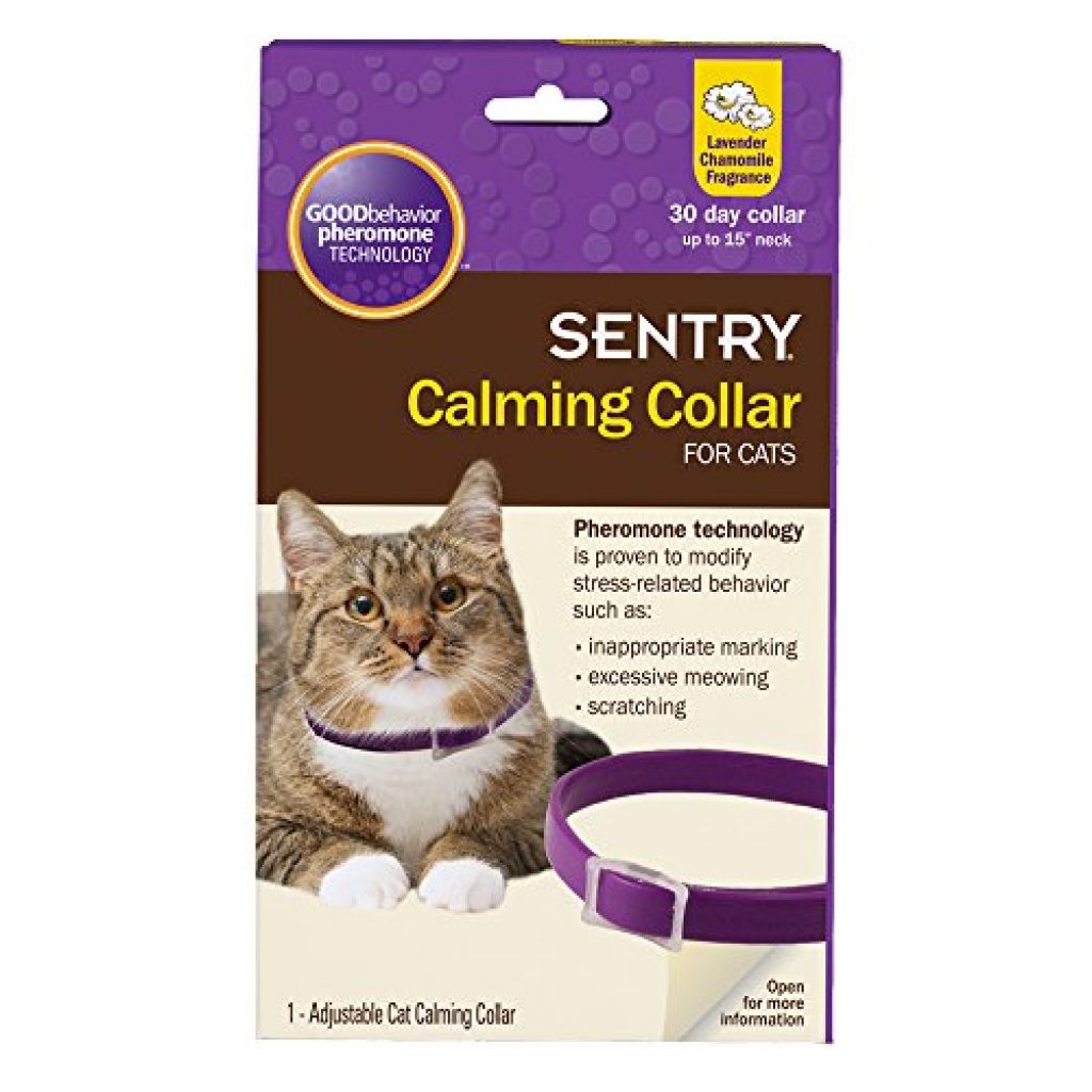 breakaway calming collar for cats