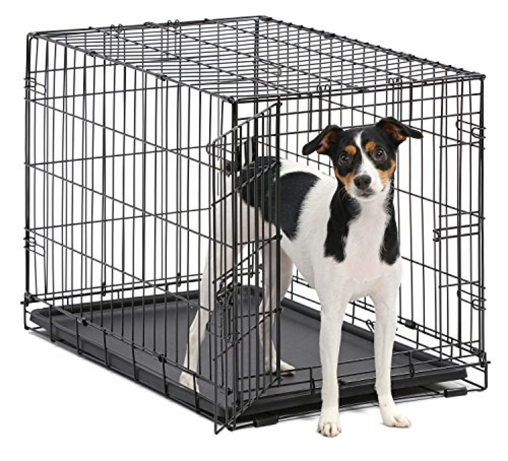 medium dog crate