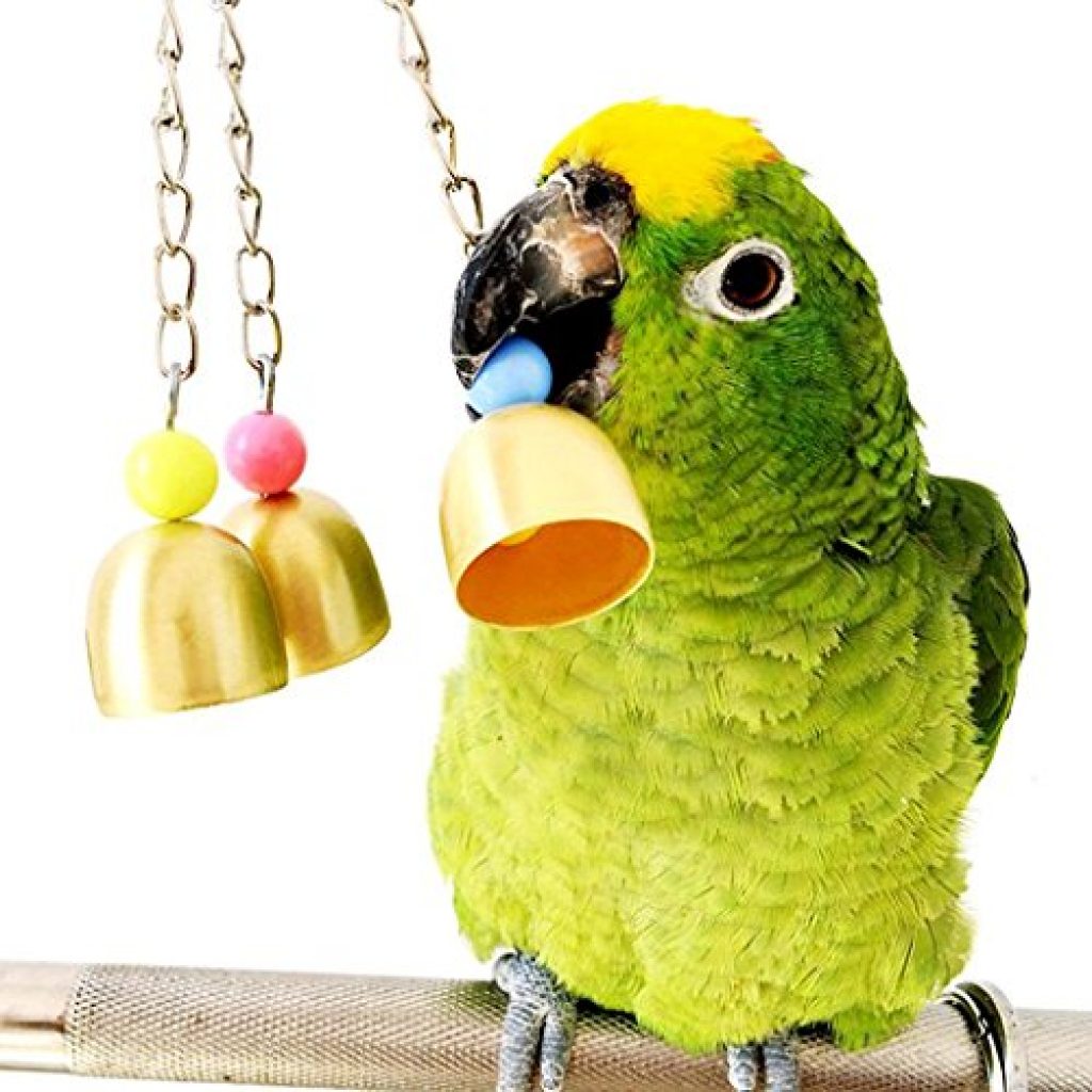 pet bird bell