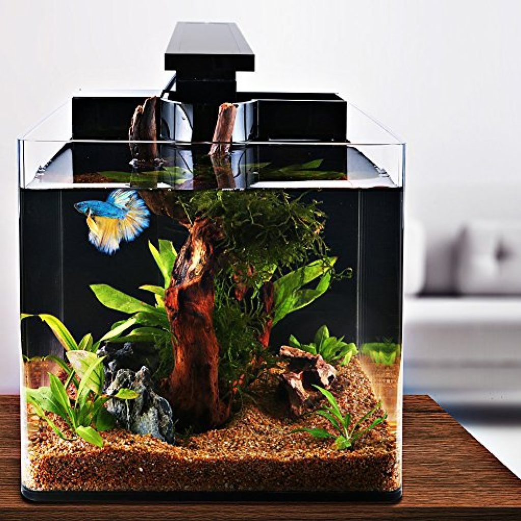ISWEES Betta Fish Tank Complete Aquarium Kit, All Acrylic