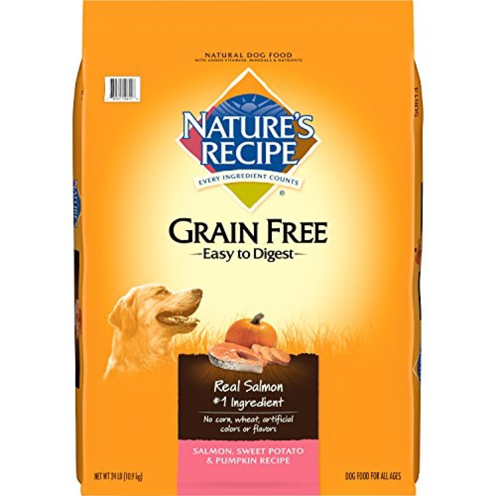 Nature's Recipe Grain Free Easy to Digest Dry Dog Food, Salmon, Sweet Potato & Pumpkin Recipe ...