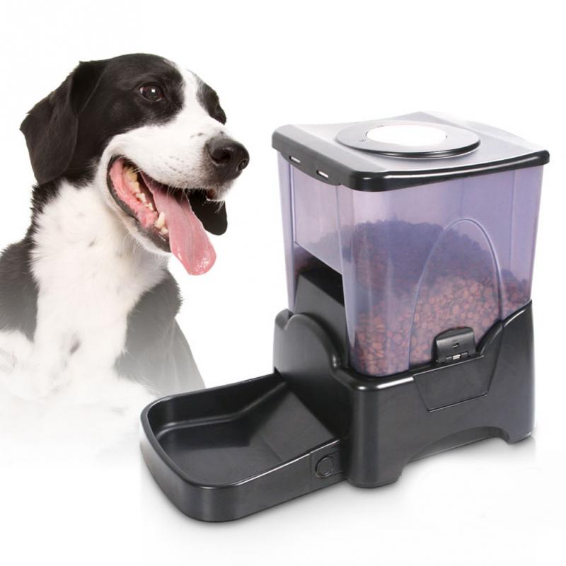 automatic dog feeder timer