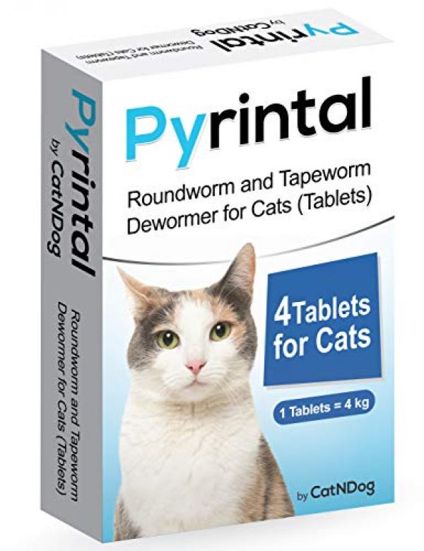 Roundworm and Tapeworm Dewormer for Cats 4 Tablets Pets Trend Store