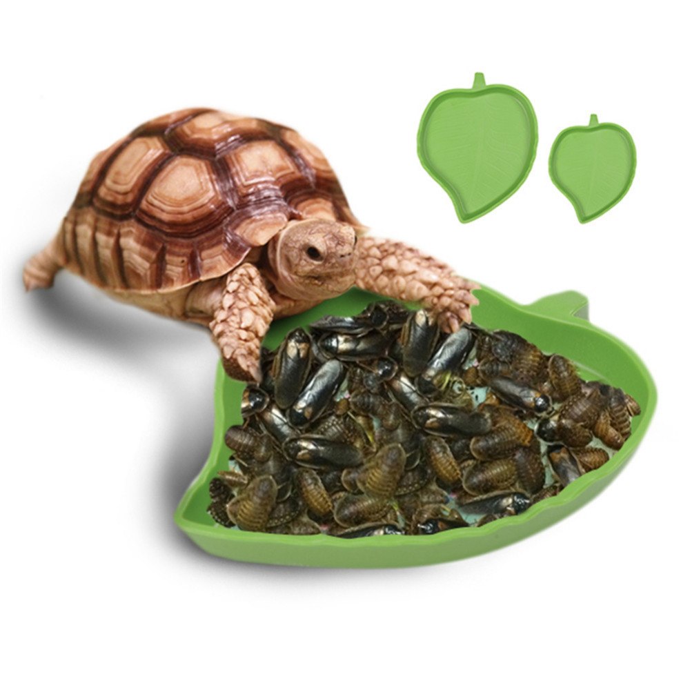 High quality Leaf Shape Plastic Reptile Tortoise Water Dish Food Bowl Toy For Amphibians Gecko Snakes Lizard small animals