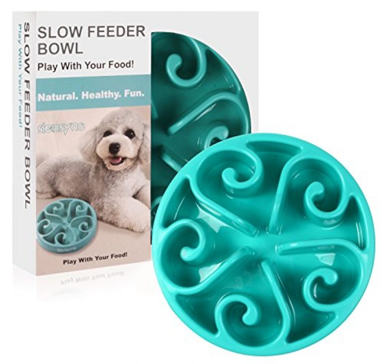 martha stewart slow feeder dog bowl
