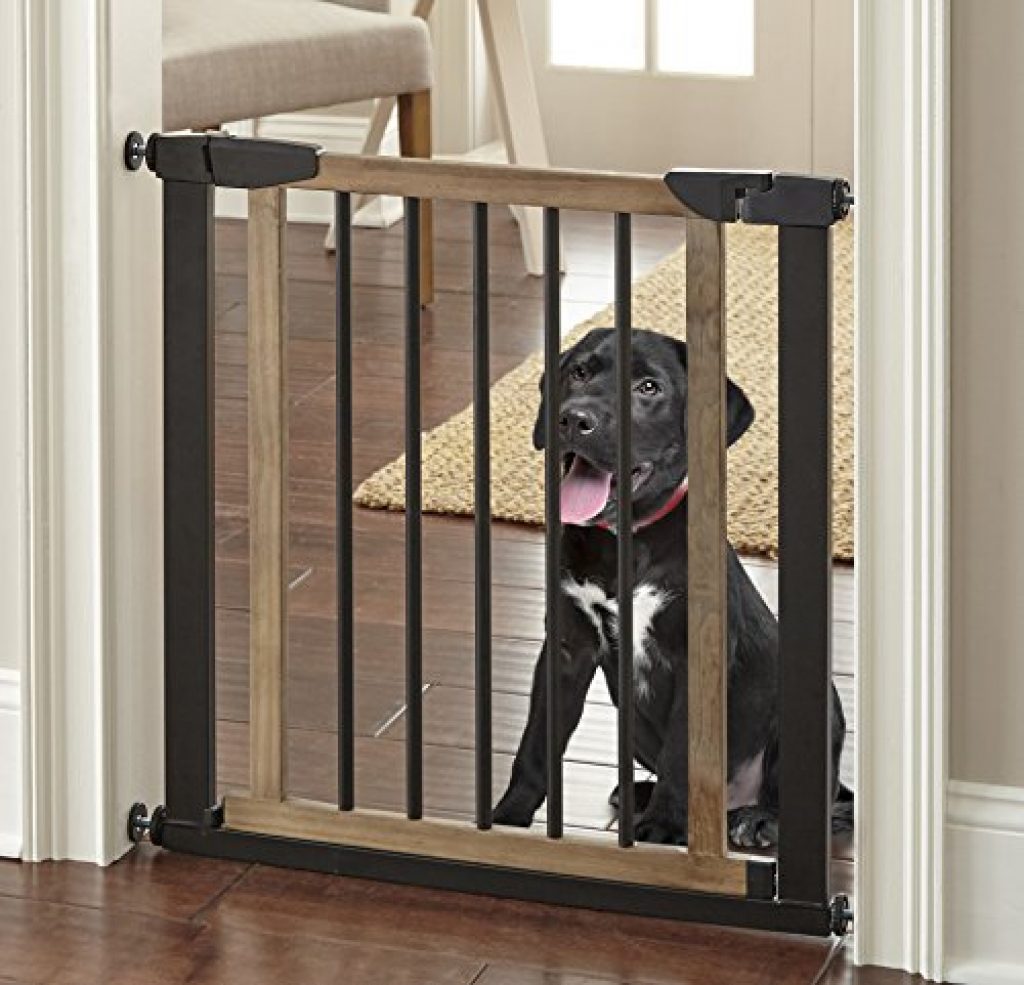 travel stair gate dog