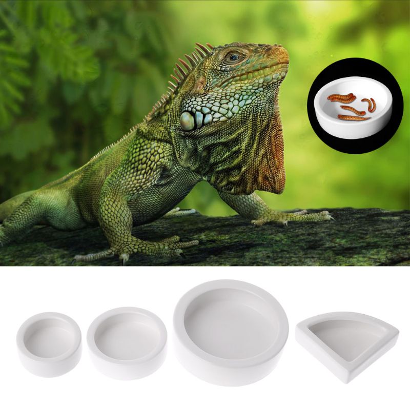 Multi-functional Ceramics Reptile Feeder Water Food Dish Feeding Bowl Turtle Lizard Snake Basin -HJI
