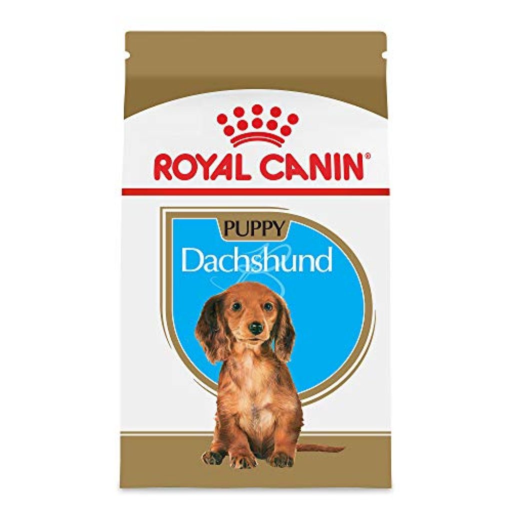 Top 10 Best Dog Food For Dachshund A Comprehensive Buying Guide