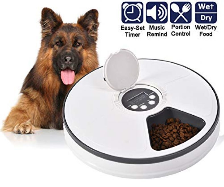 best automatic feeder for large dogs