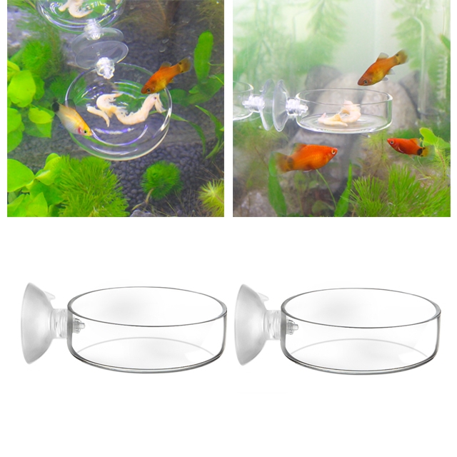 2pcs Glass Shrimp Feeding Dish Bowl Tray Food Feeder Bowl Aquarium Container Fish Tanks Reptiles Home Kitchen Round with Suction