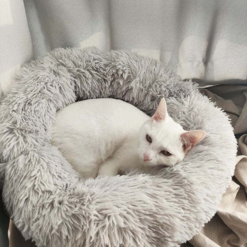 6 Sizes Round Plush Cat Bed House Cat Mat Winter Warm Sleeping Cats Nest Soft Dog Basket Pet Cushion Portable Pets Supplies