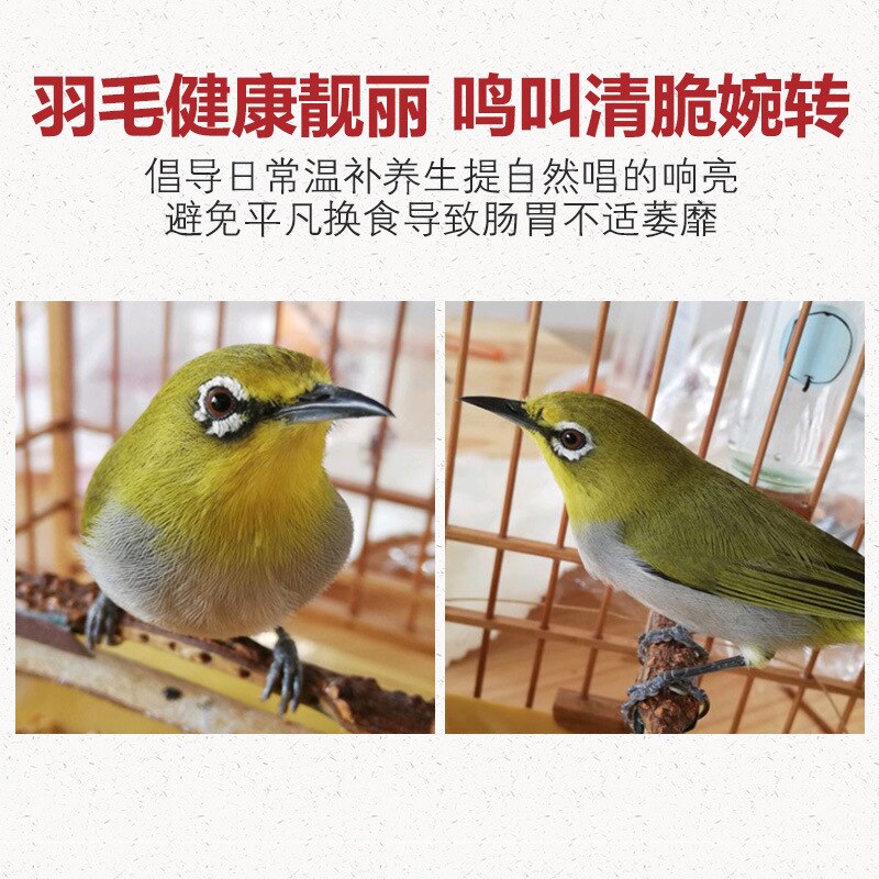 Jonsanty silvereye niao Food Show Eye Bird Feed Red Rib Dark Green-Birds Four Xi Teng Food Grain Embroidered Food