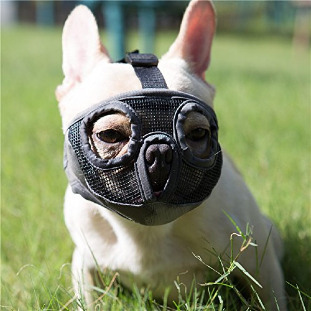 Jyhy Short Snout Dog Muzzles Adjustable Breathable Mesh Bulldog Muzzle