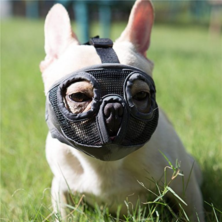 soft muzzle for dogs