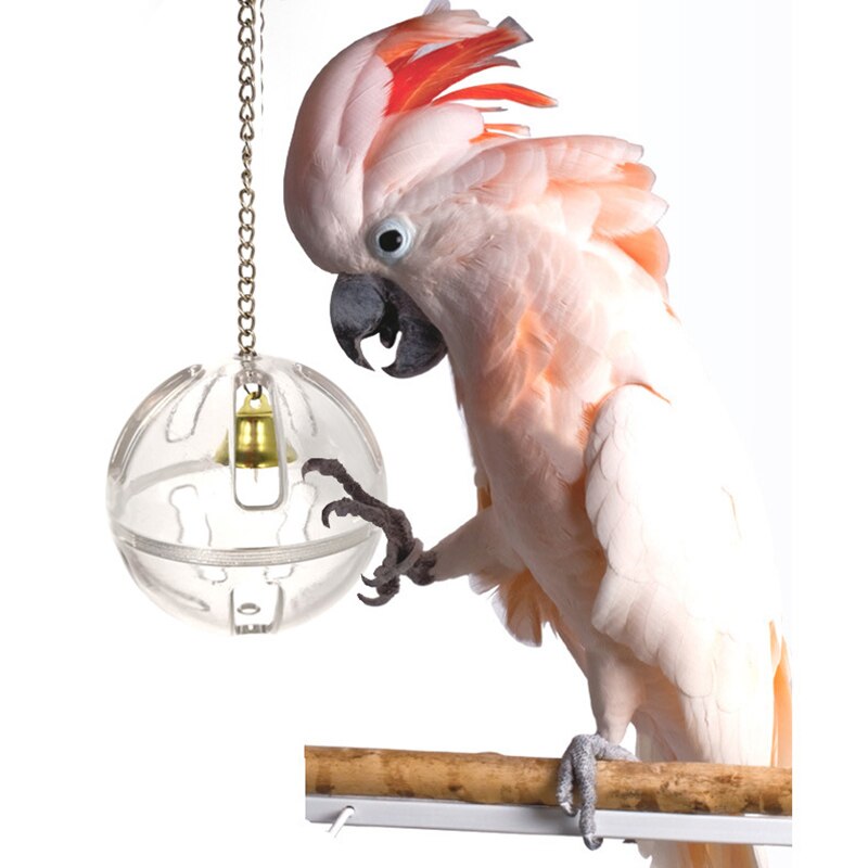 Pet Bird Parrot Toys Bird Hanging Food Ball Cage Box Feeder Fruit Nut Container