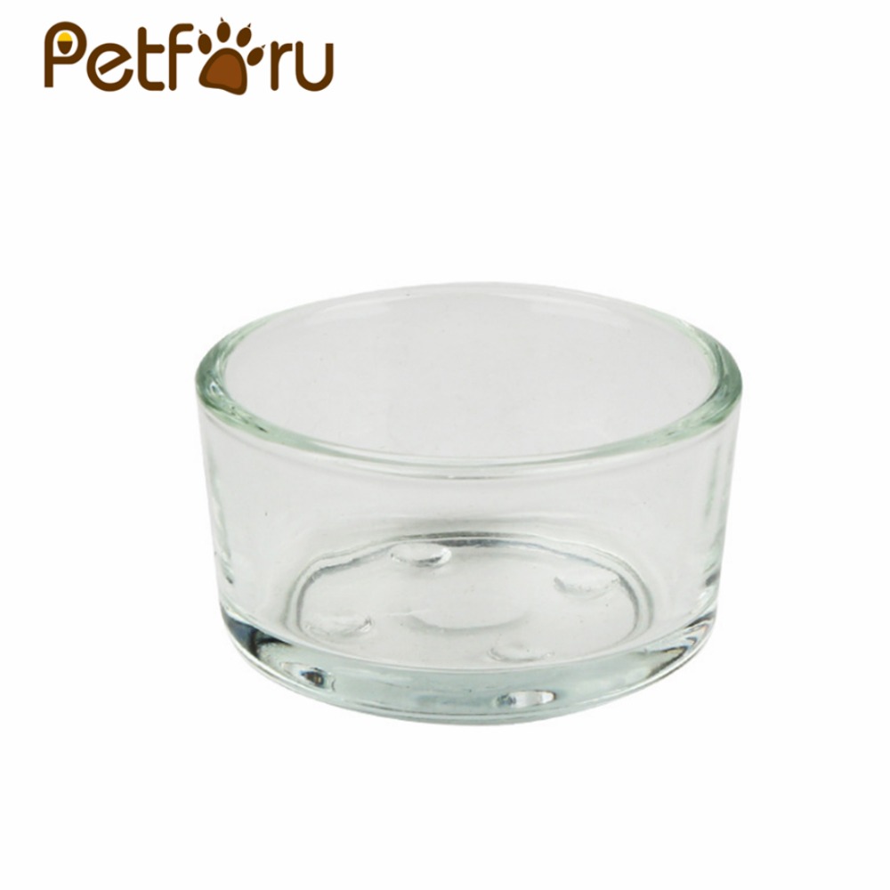 Petforu Reptile Glass Food Bowl Pet Round Food Water Container Plate for Lizard Scorpion - Transparent
