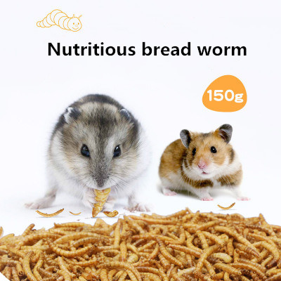 Small pet food 150g bread worm hamster / squirrel / ornamental fish / birds / turtle / hedgehog etc. feed yellow mealworm snacks