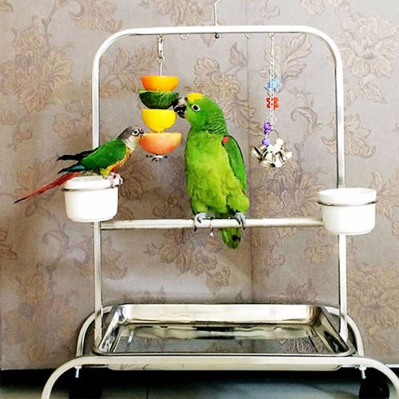 WHISM Stainless Steel Small Parrot Toy Meat Food Holder Stick Fruit Skewer Bird Treating Tool Durable Bird's Cage Accessories