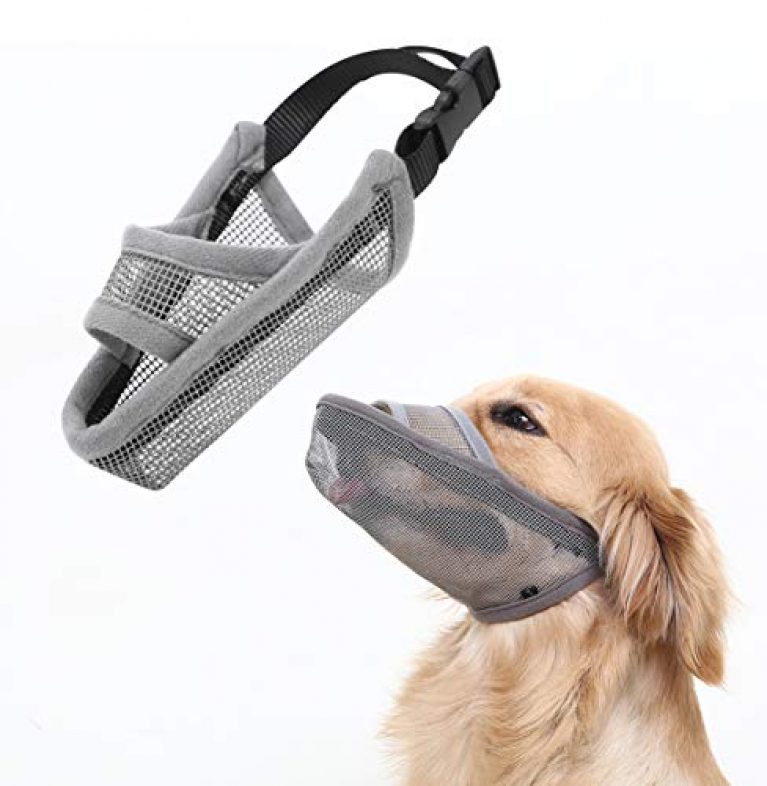 small dog muzzle for biting