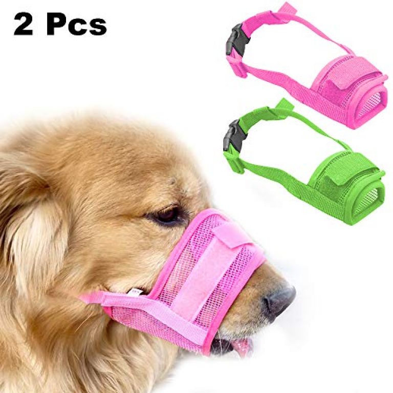 best muzzle for dogs that bark