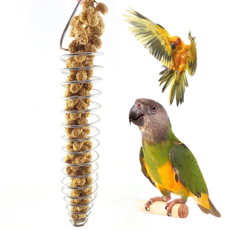 Parrot Bird Food Fruit Basket Toys Stainless Steel Feeding Device Birds Cage Feeder