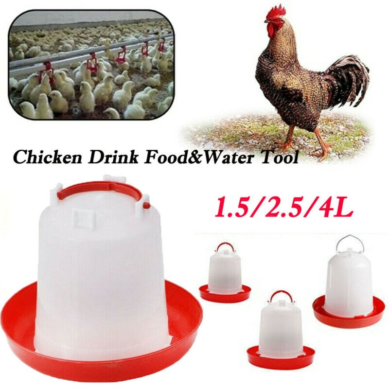 New Chicken Feeder Drinker Poultry Chick Hen Bantam Food Water Accessories Tool