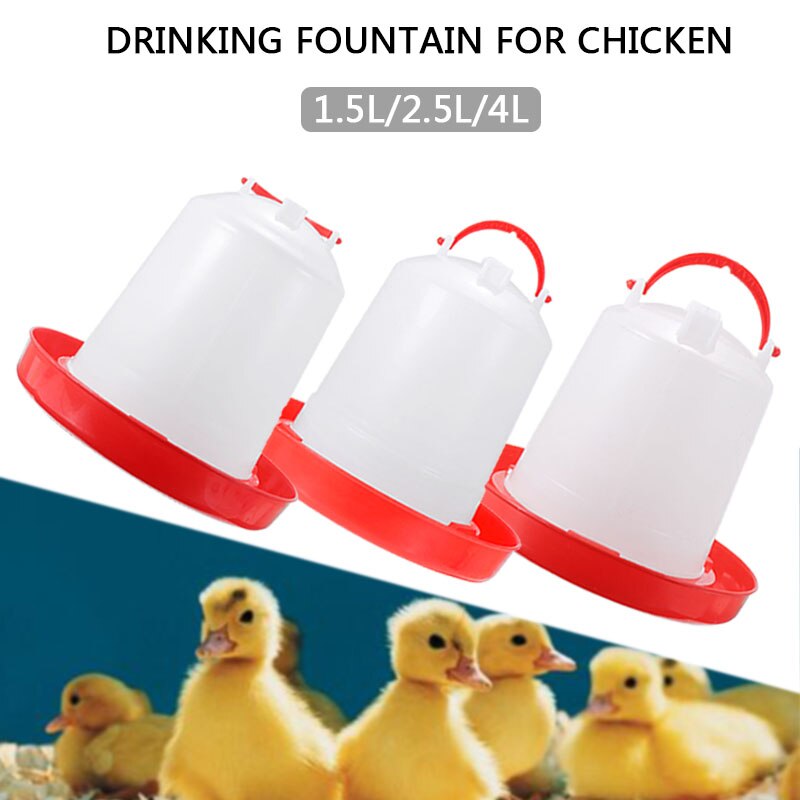 1pc Chicken Drinker Poultry Chick Hen Bantam Food Water Feeder Accessories Tools Feeder Cups For Poultry Supplies