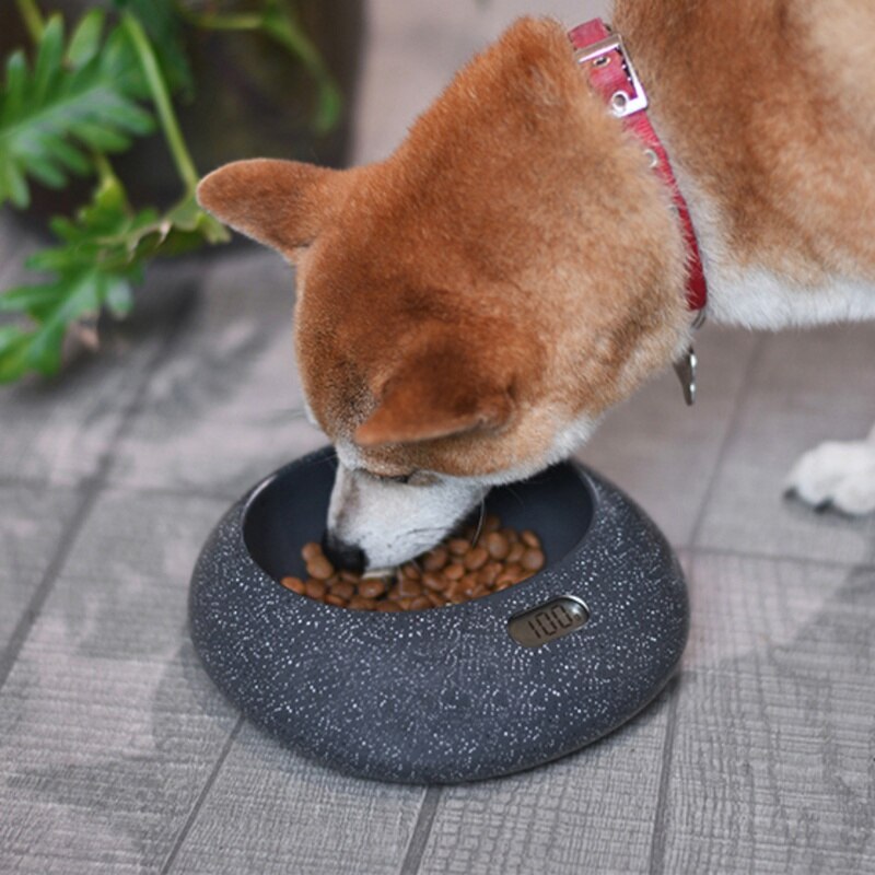ABS Pet Food Feeder Bowls Smart Pet Electronic Feeders For Dog And Cat Food Dispenser With Weight Control Function