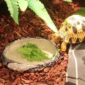 Round Resin Reptile Feeding Bowl Small Crawler Pet Food Bowl Reptile Food And Water Dish Feeding Plate Resin Food Basin