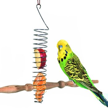 Stainless Steel Birdseed Basket Hanging Sprial Bird Food Container for Parrot Pigeon Hummingbird Throstle Bird Feeders