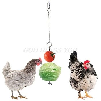 Stainless Steel Bird Chicken Veggies Skewer Food Fruit Holder for Hens Hanging Vegetable Feeder Foraging Toy Bird Treat Skewer