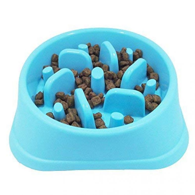 best dog slow feeder bowl for a 40 lbs beagle